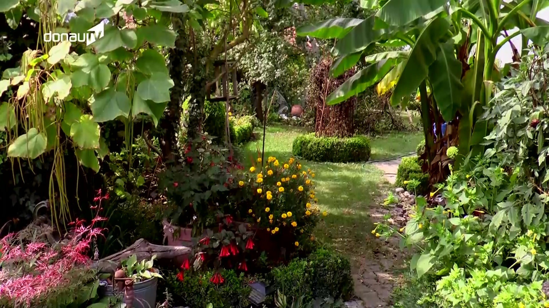 Aussergewohnlicher Garten Malaysier Schafft Sich In Plattling Ein